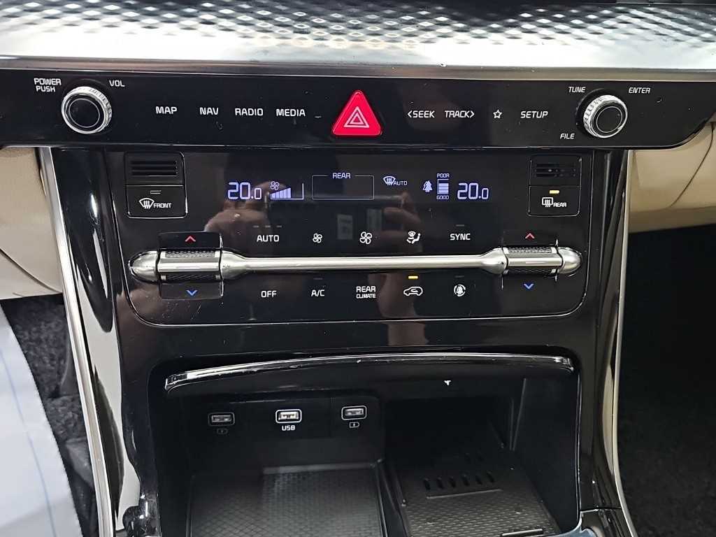 KIA Carnival - Vista 10