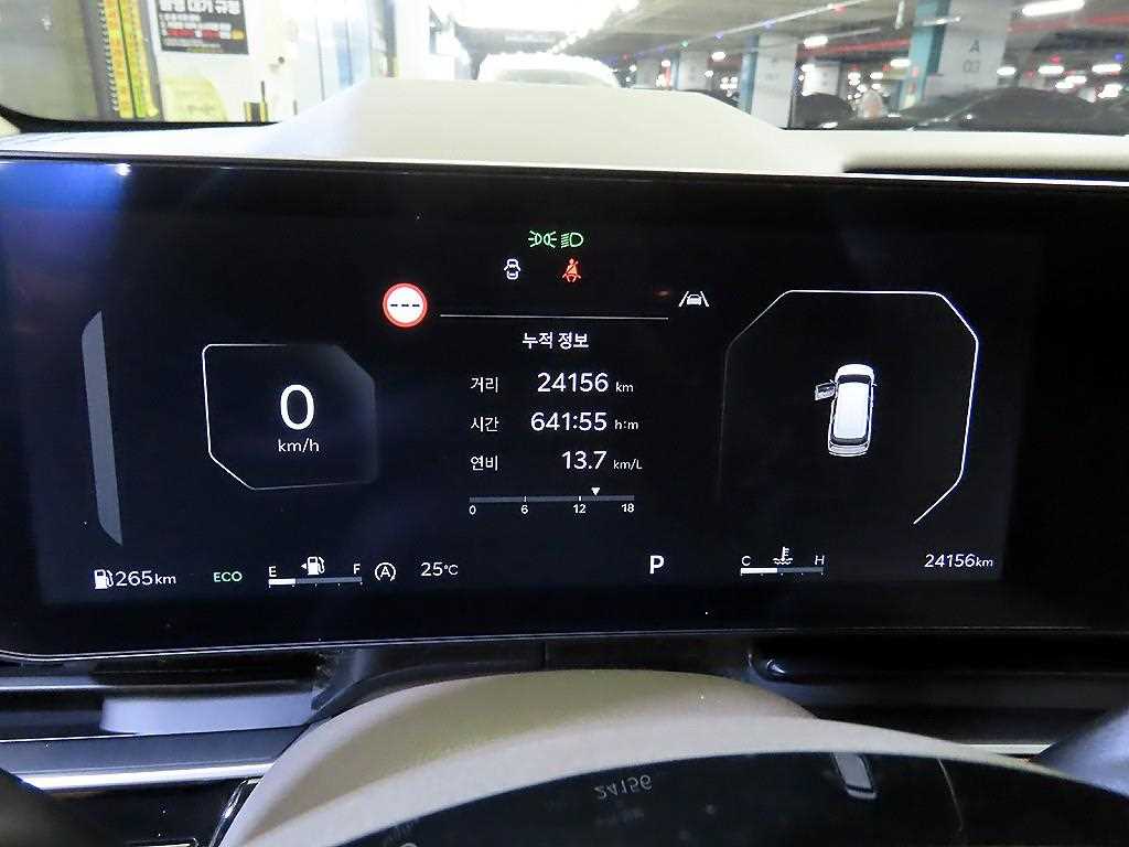 KIA Carnival - Vista 9
