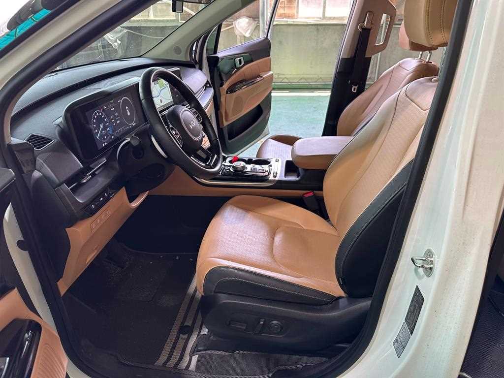 KIA Carnival - Vista 12