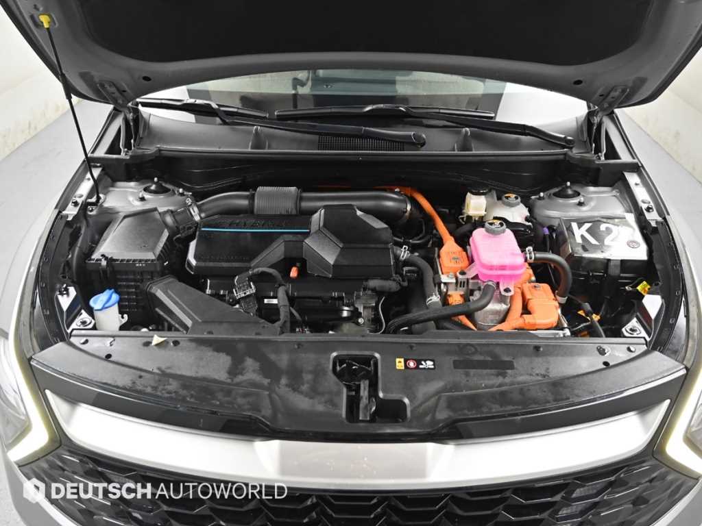 KIA Sportage - Vista 6
