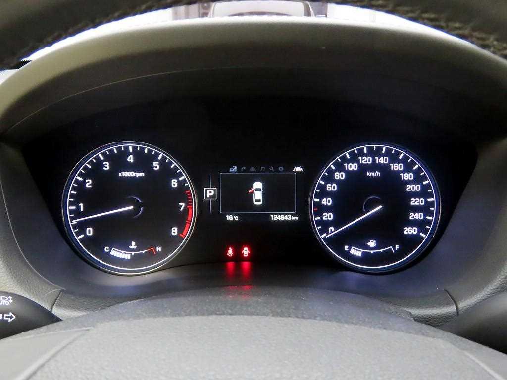 HYUNDAI Genesis - Vista 6
