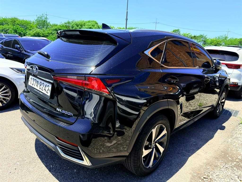 Lexus NX - Vista 6