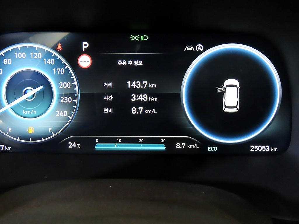 HYUNDAI Palisade - Vista 9