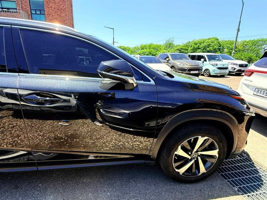 Lexus NX - Vista 8