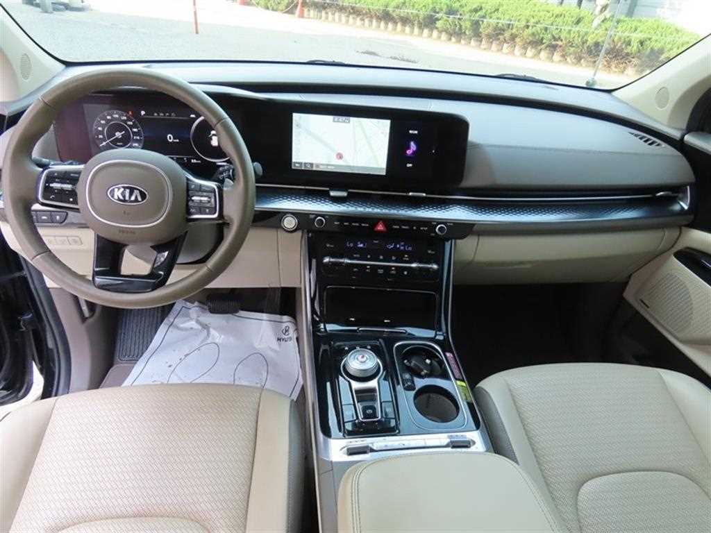 KIA Carnival - Vista 9