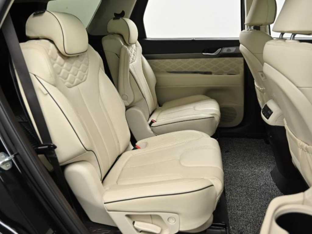 HYUNDAI Palisade - Vista 12