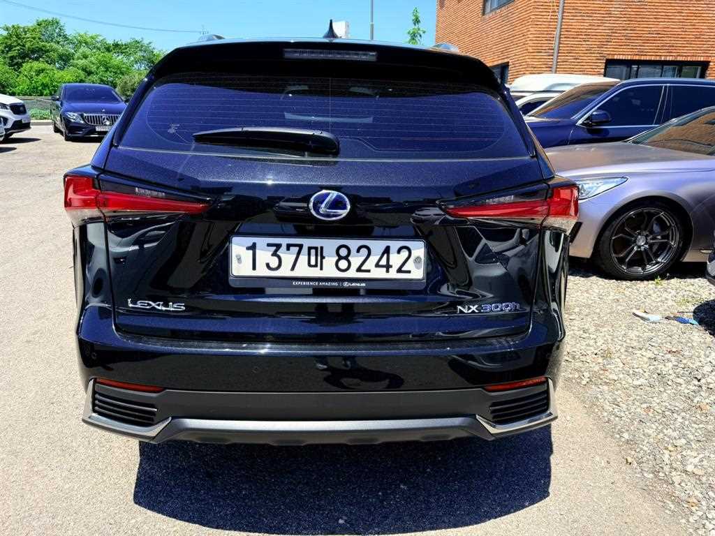Lexus NX - Vista 5