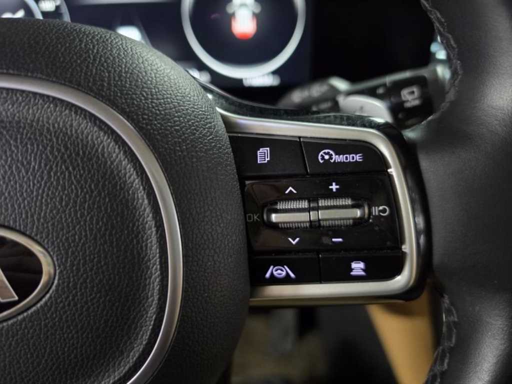 KIA Carnival - Vista 10