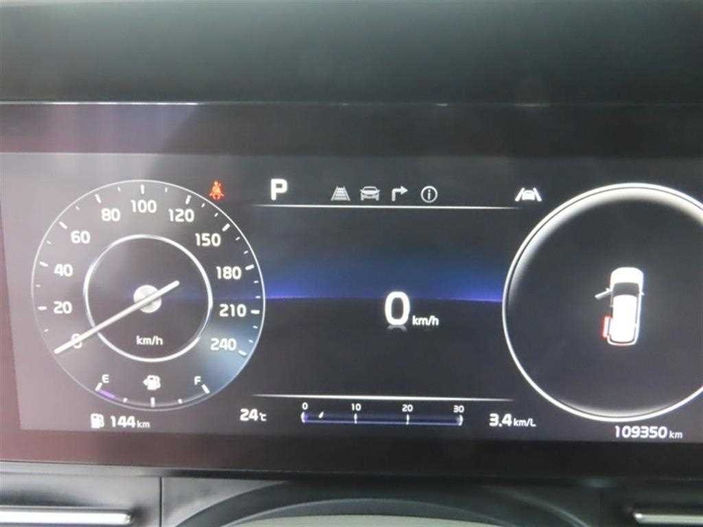 KIA Carnival - Vista 12