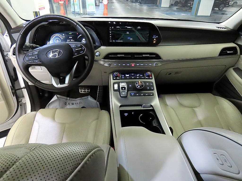 HYUNDAI Palisade - Vista 10