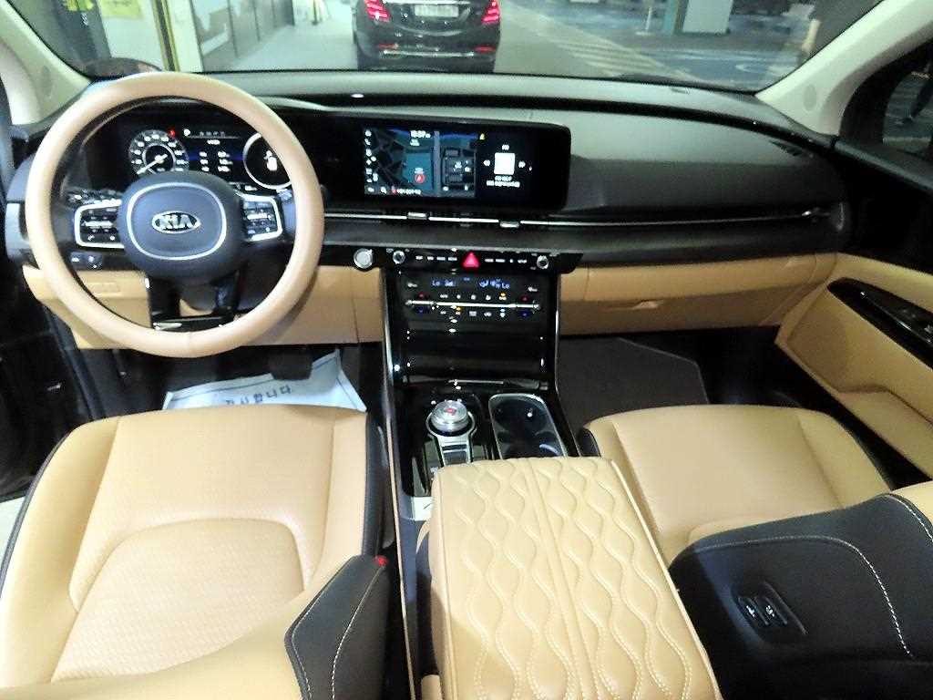KIA Carnival - Vista 10