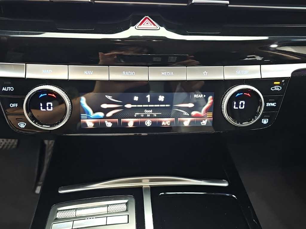Genesis G80 - Vista 10