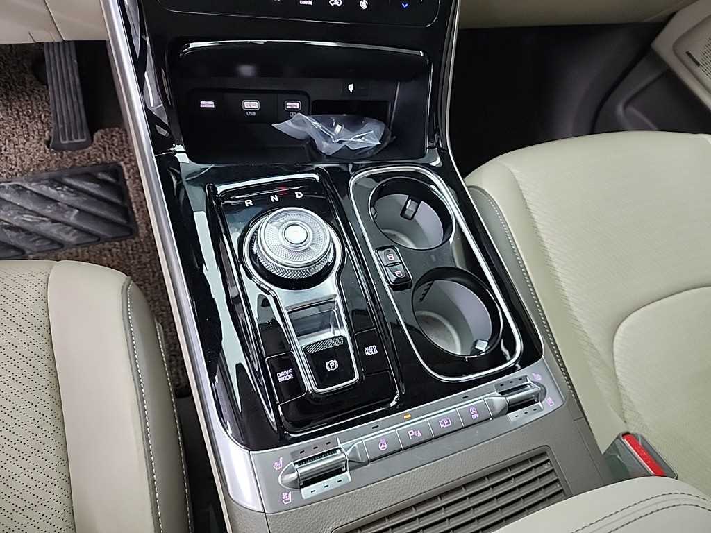 KIA Carnival - Vista 8