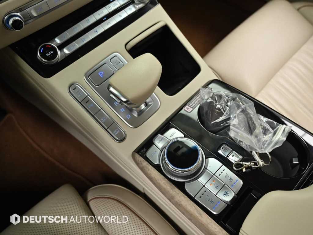 Genesis G90 - Vista 9