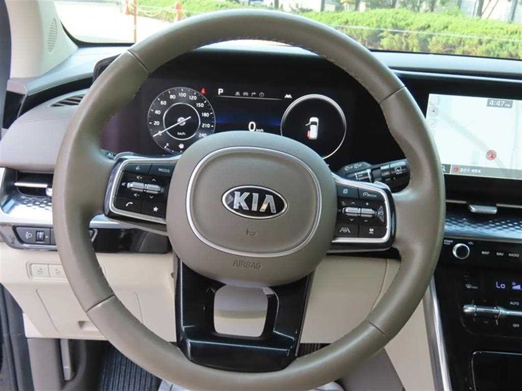 KIA Carnival - Vista 10