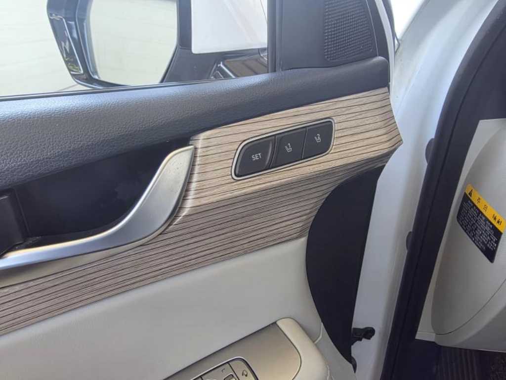 HYUNDAI Palisade - Vista 7