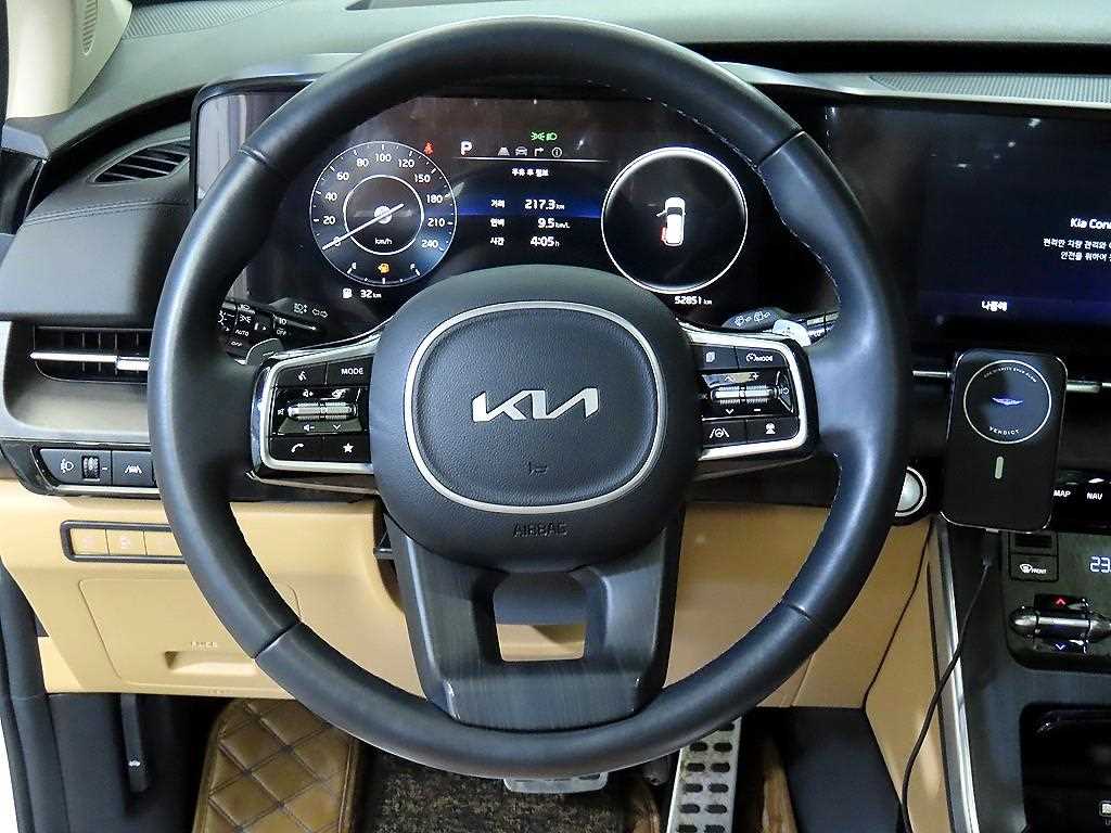 KIA Carnival - Vista 8