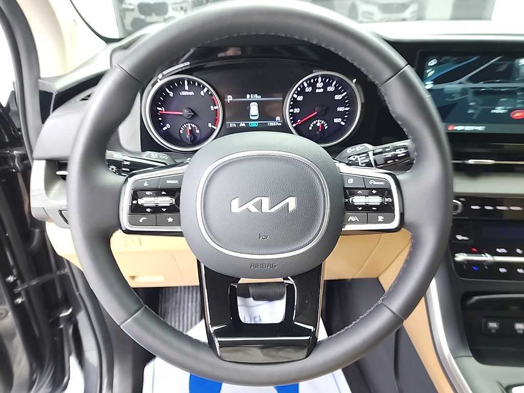 KIA Carnival - Vista 9