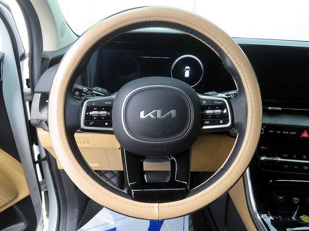 KIA Carnival - Vista 10