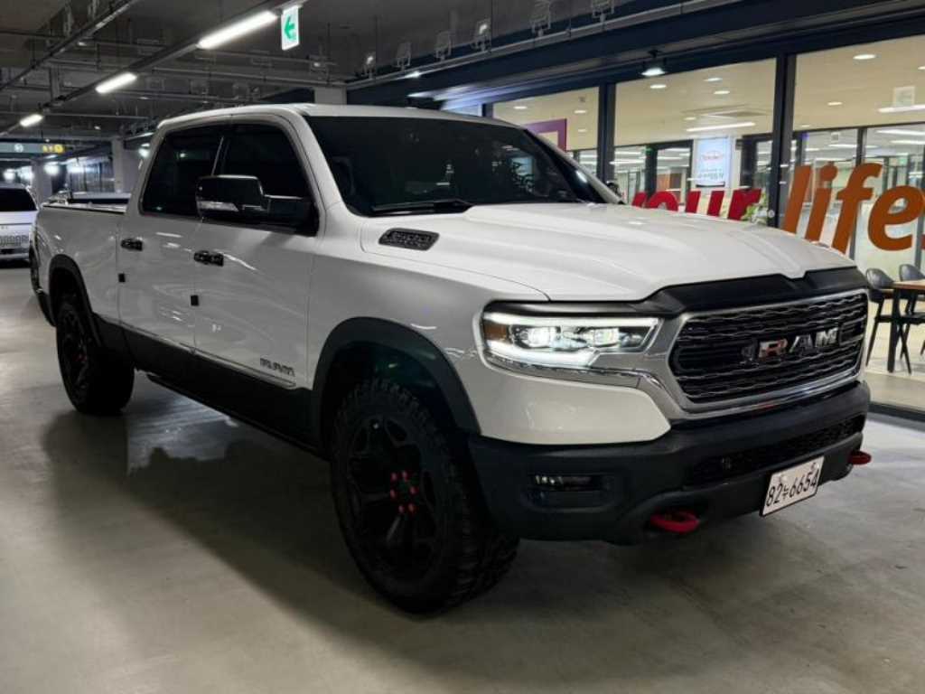 DODGE Rampic Up - Vista 2
