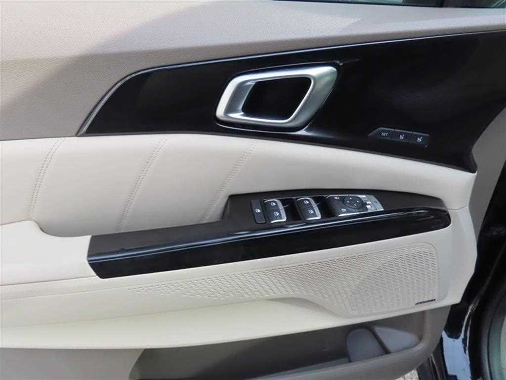 KIA Carnival - Vista 6