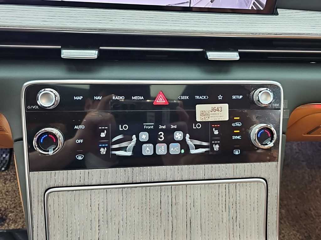 Genesis GV80 - Vista 10