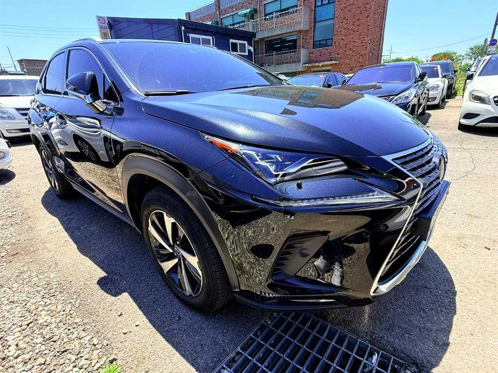 Lexus NX - Vista 9