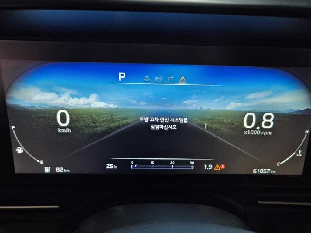 KIA Carnival - Vista 12