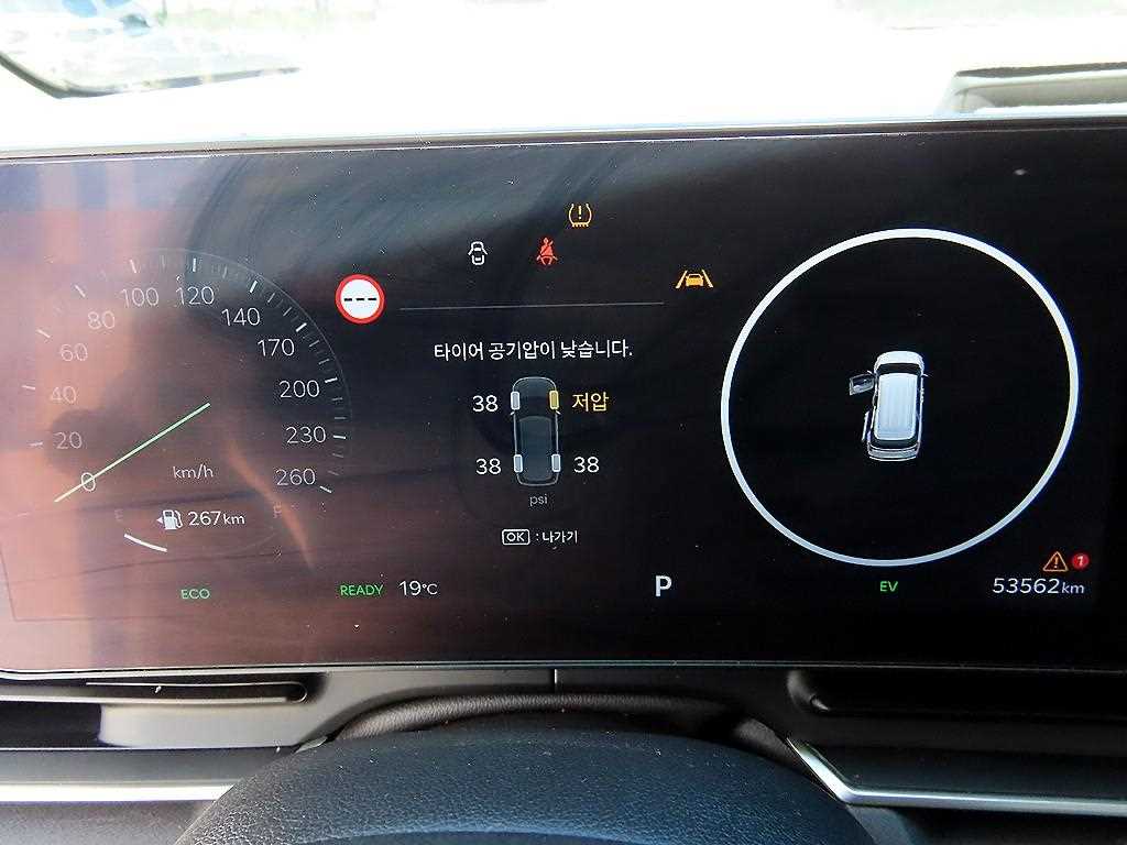 KIA Carnival - Vista 10
