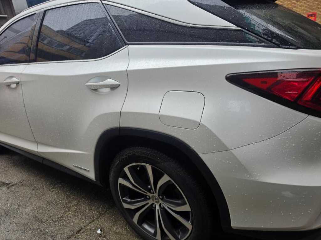 Lexus RX - Vista 6