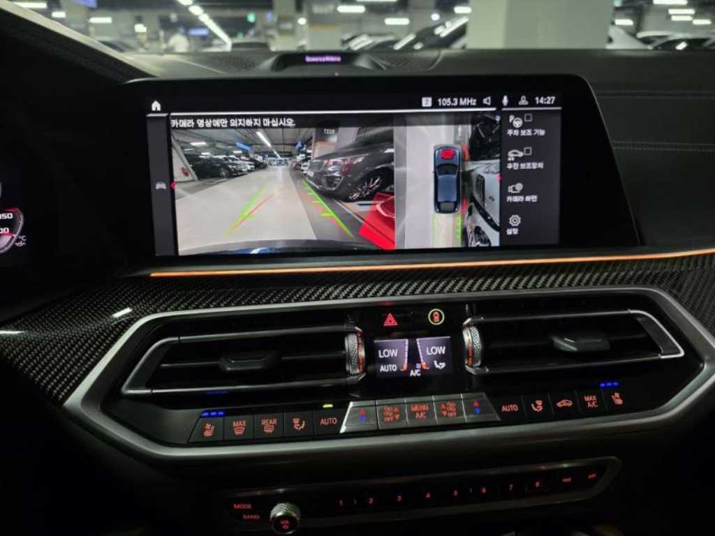 BMW X6 - Vista 12