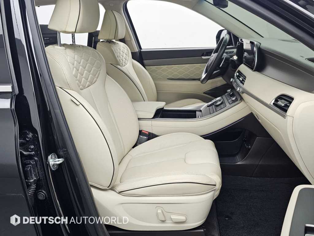 HYUNDAI Palisade - Vista 10