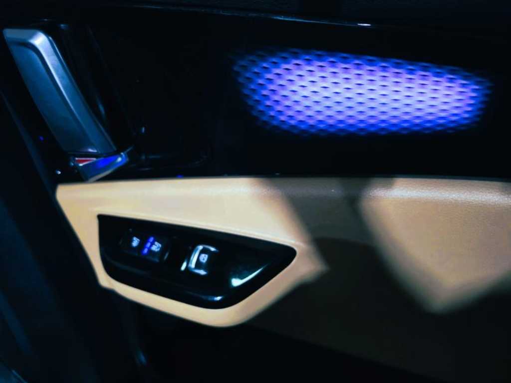 KIA Carnival - Vista 12