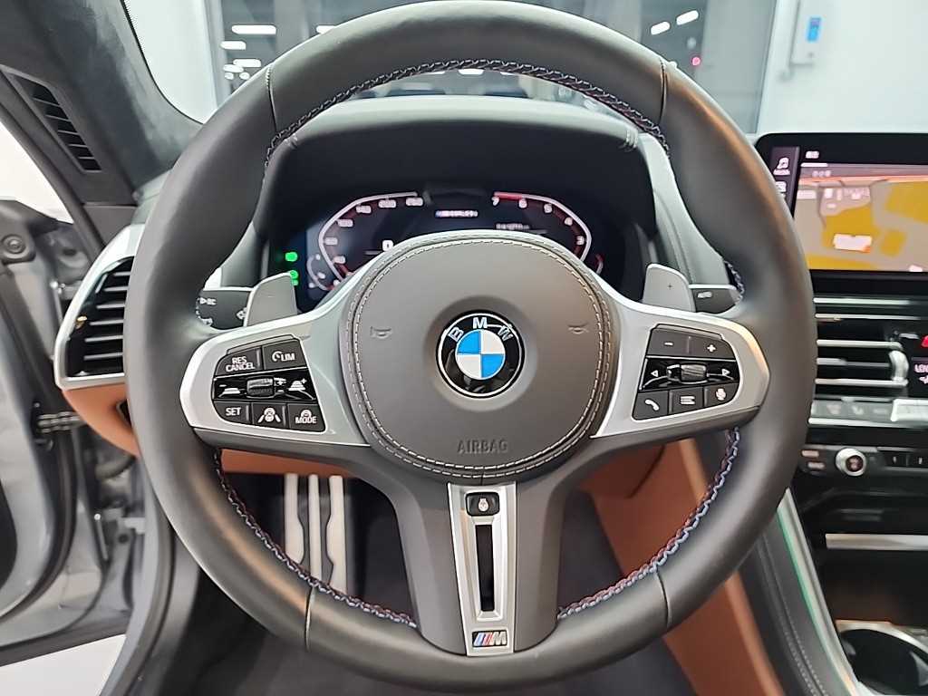 BMW 8 Series - Vista 9