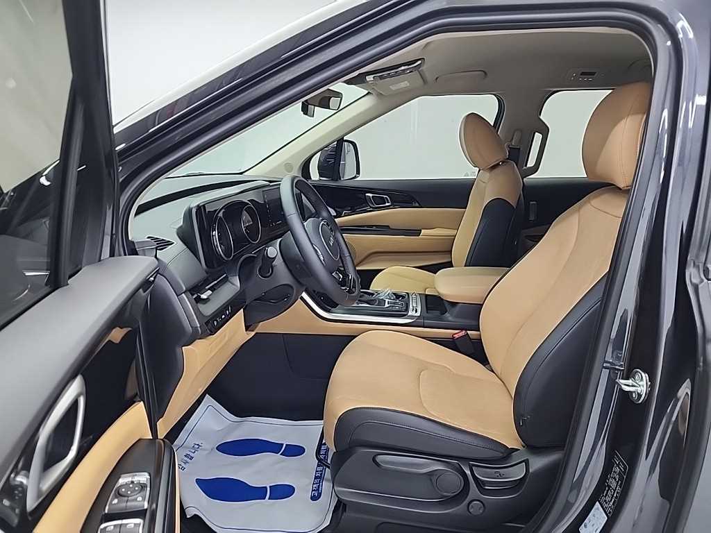 KIA Carnival - Vista 11