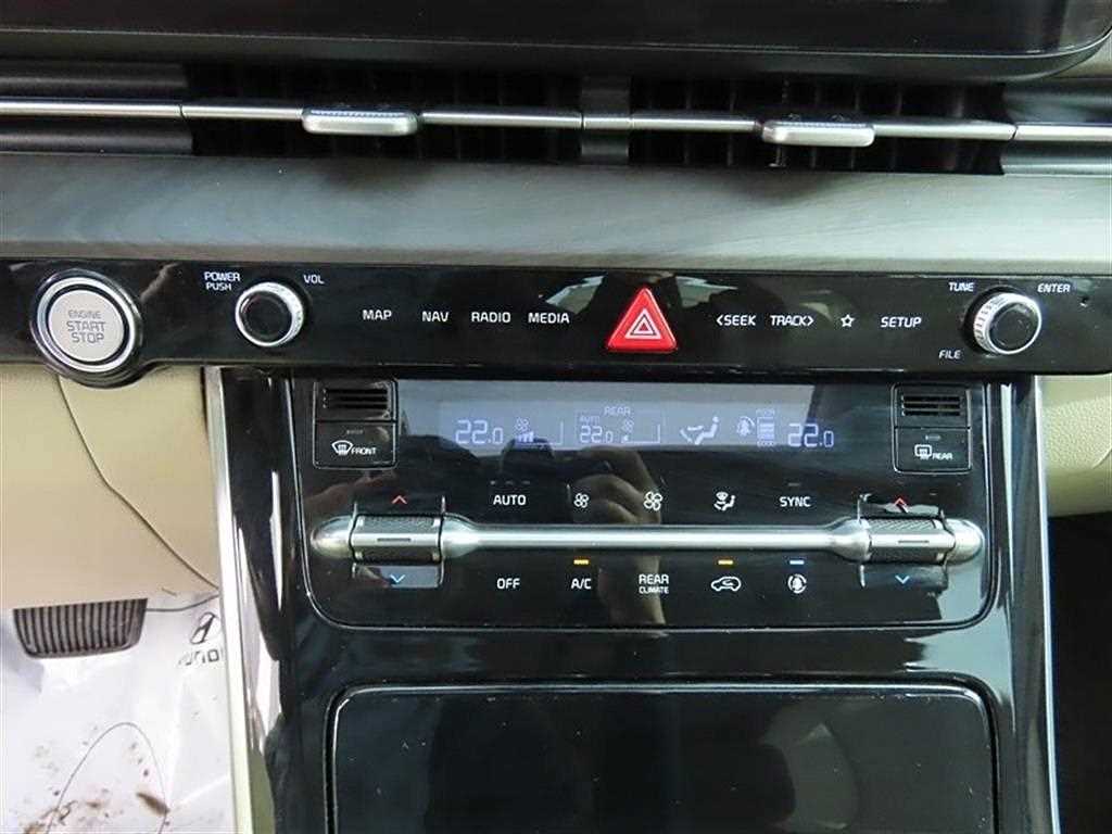 KIA Carnival - Vista 12