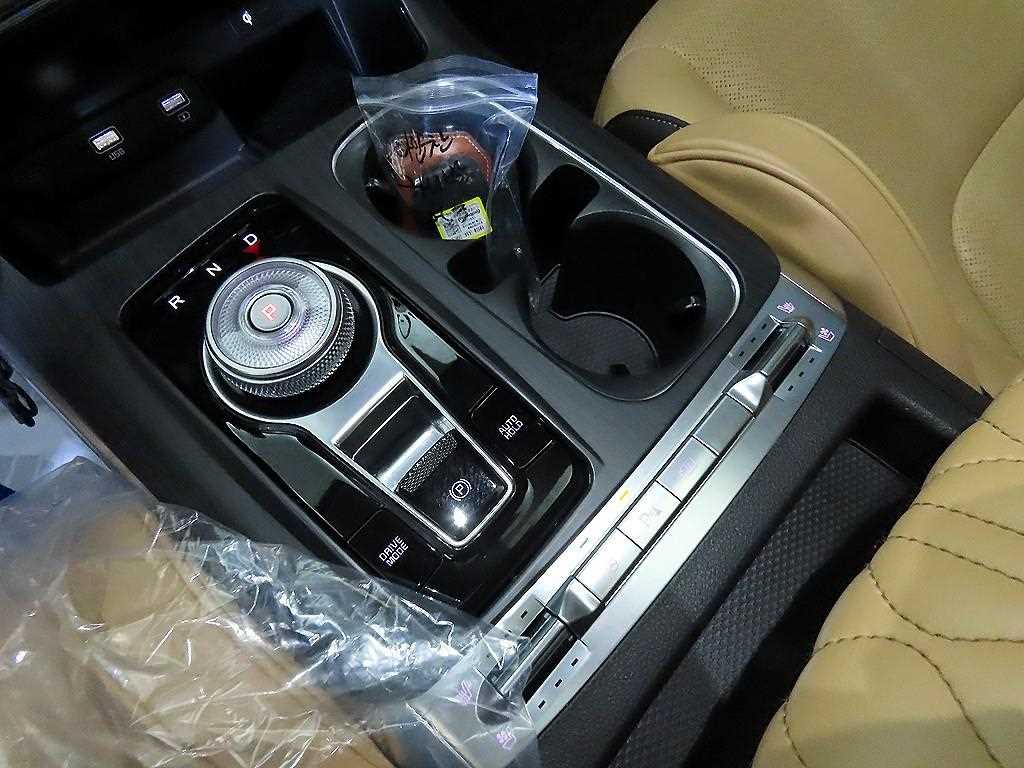 KIA Carnival - Vista 12