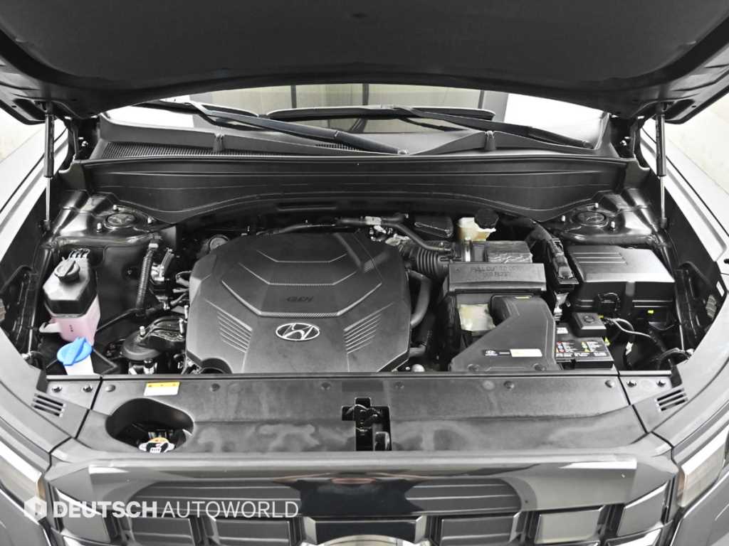HYUNDAI Palisade - Vista 6