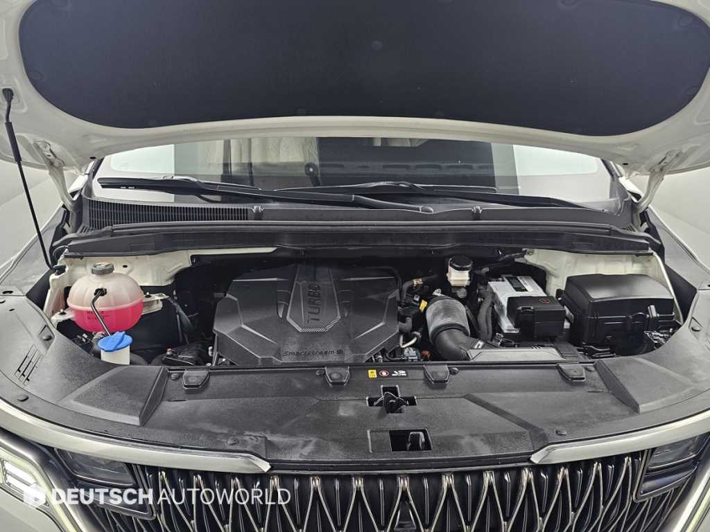 KIA Carnival - Vista 6