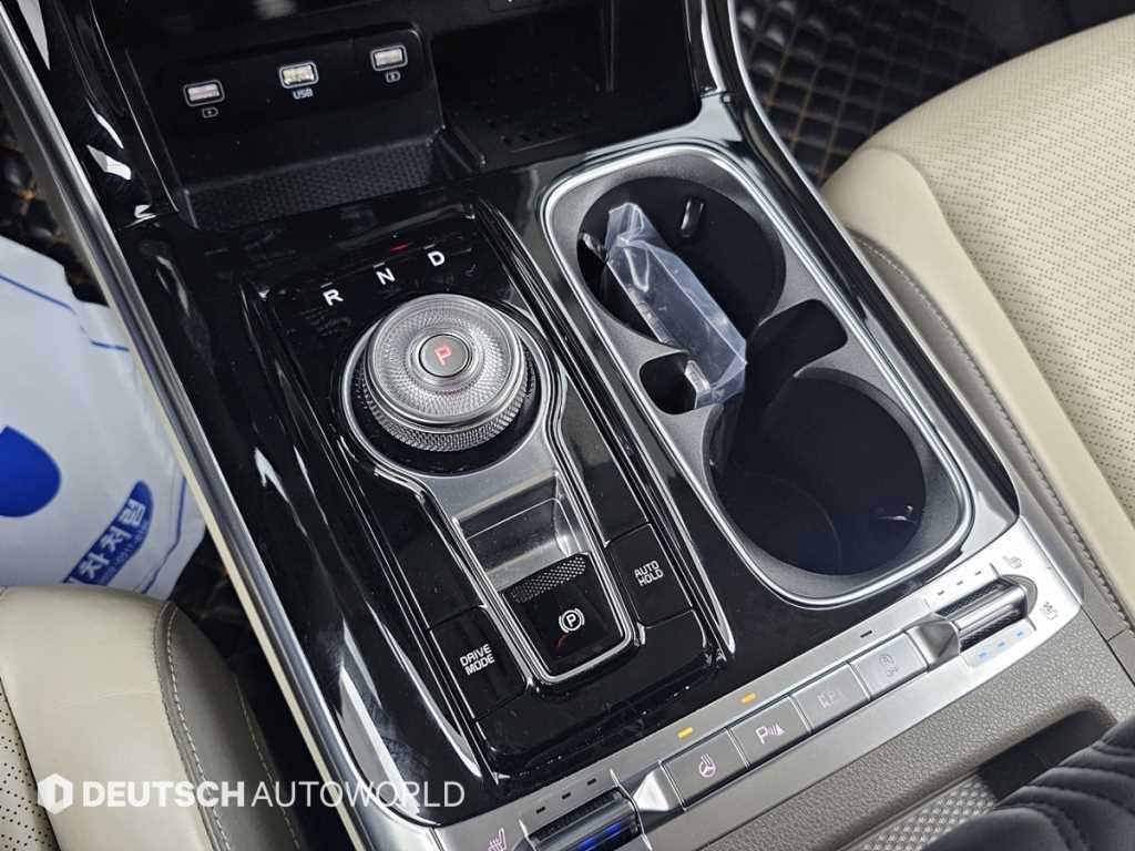 KIA Carnival - Vista 9