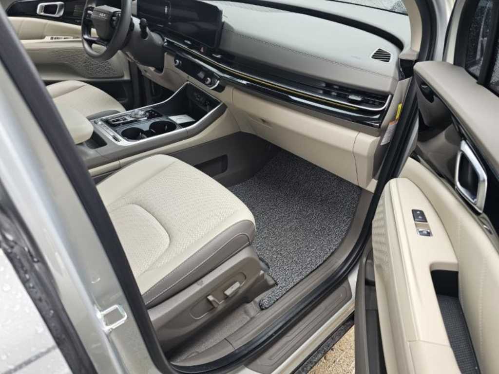 KIA Carnival - Vista 4