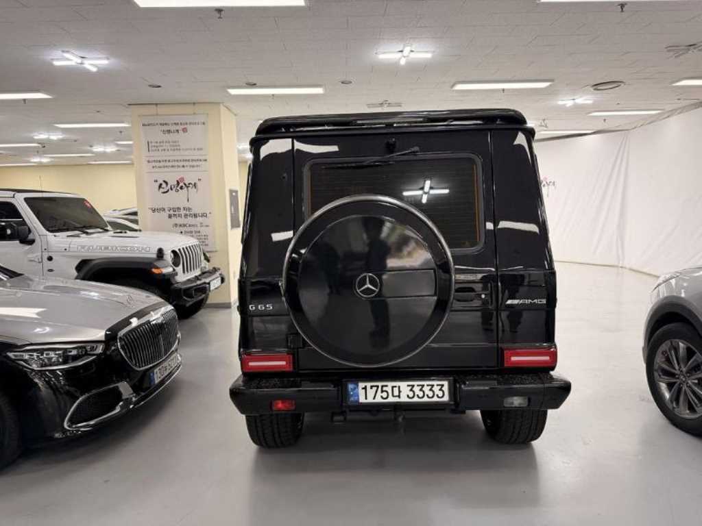 Mercedes Benz G Class (G Wagen) - Vista 5