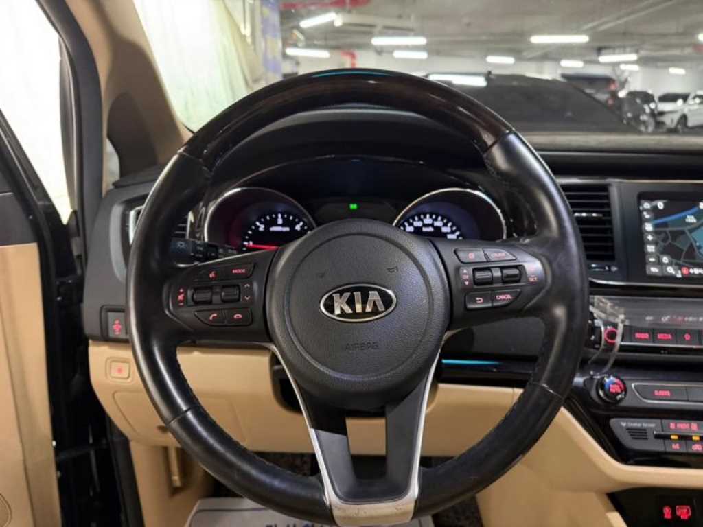 KIA Carnival - Vista 8