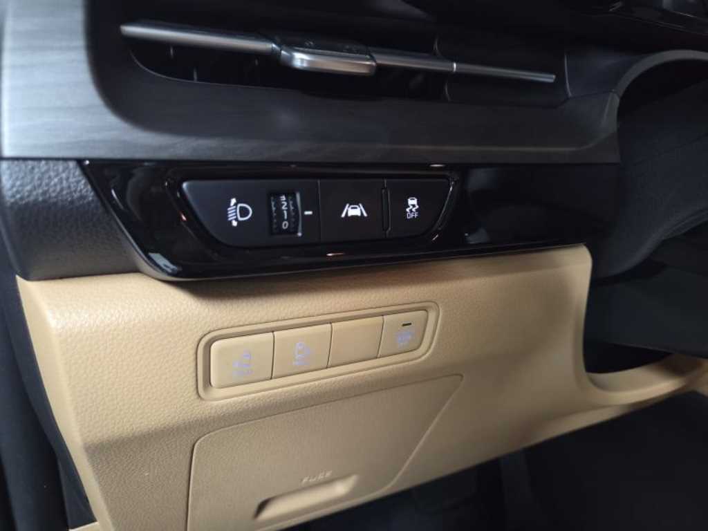 KIA Carnival - Vista 12