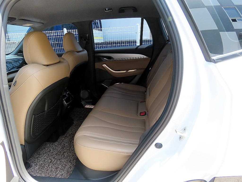 SAMSUNG Grand Koleos - Vista 6