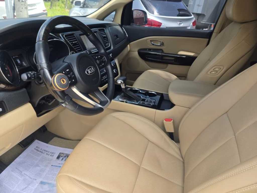KIA Carnival - Vista 12
