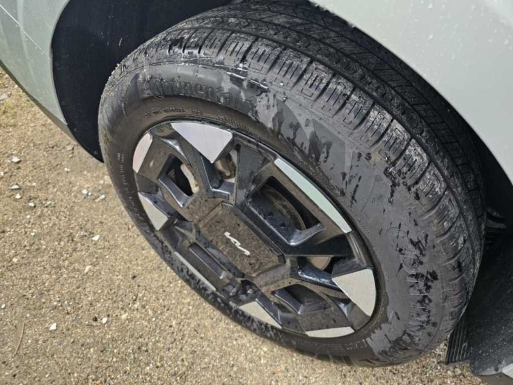 KIA Carnival - Vista 8