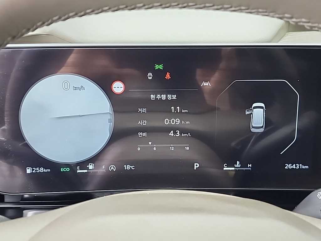 KIA Carnival - Vista 6