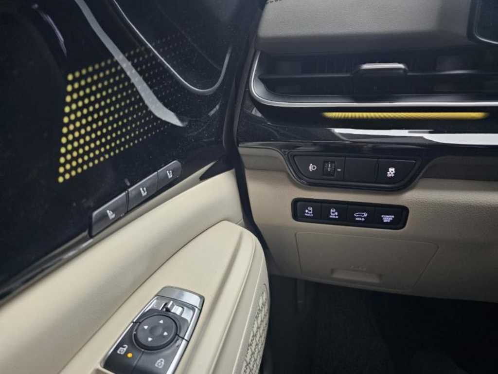 KIA Carnival - Vista 12