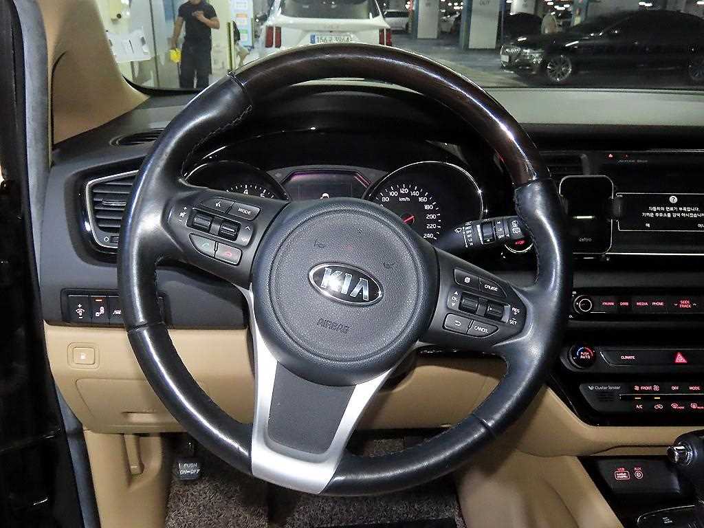 KIA Carnival - Vista 8